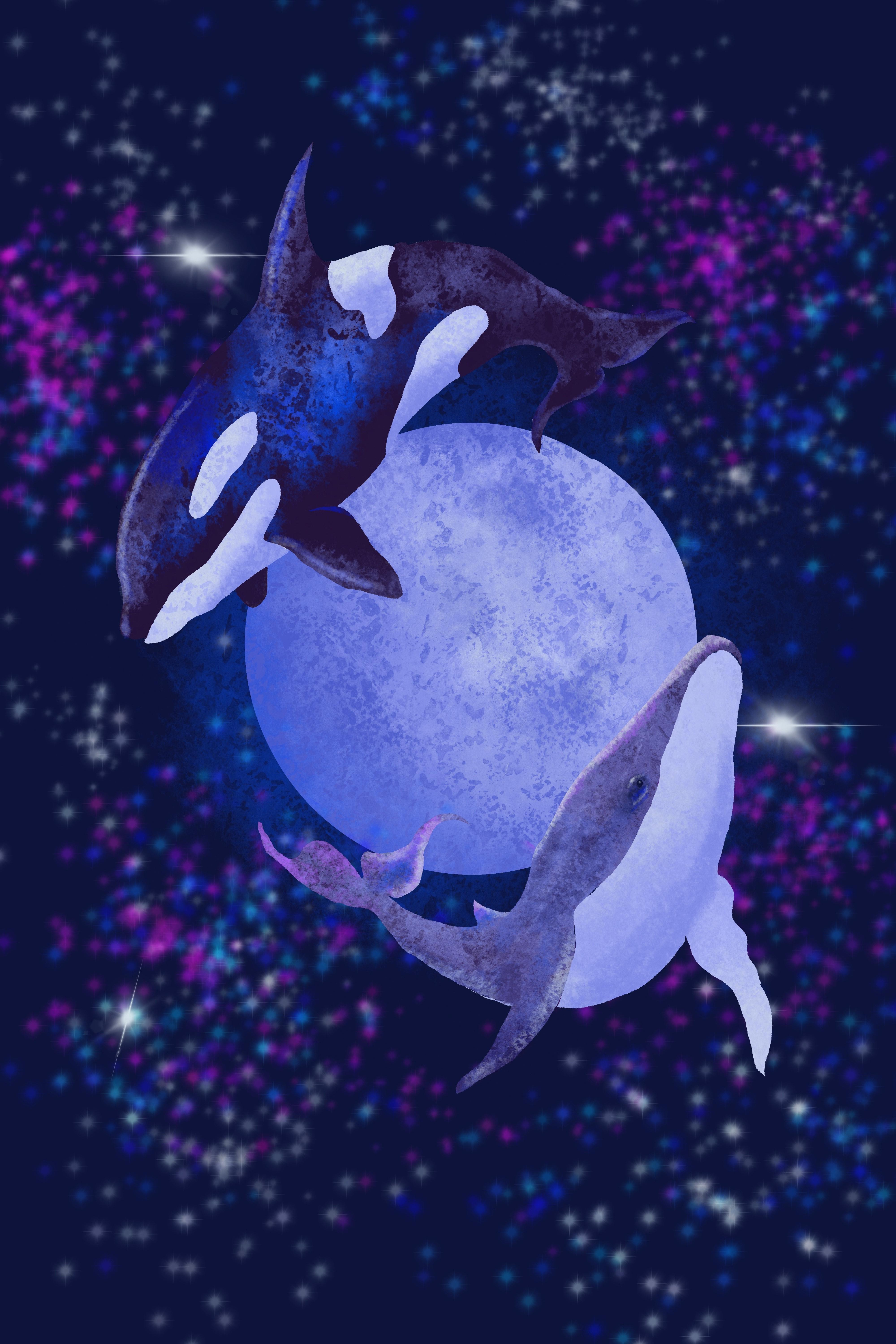 Skillshare – Procreate初学者：绕月飞行的鲸鱼 - 1Li-1Li
