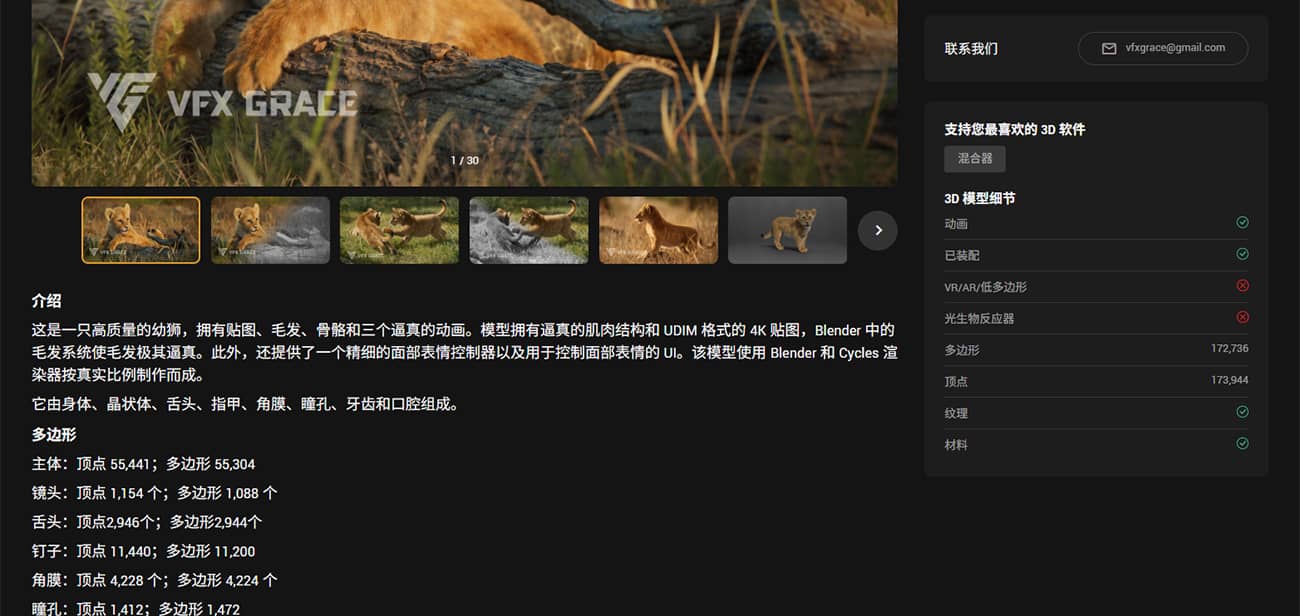 图片[3]1Li-Digital Art Education【模型】Blender影视级高精度狮子模型（带动画）1Li-Digital Art Education1Li