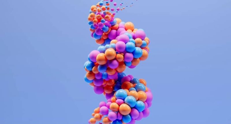 【视频+素材】在Houdini和Redshift中制作软体(中文字幕)1Li-Digital Art Education1Li