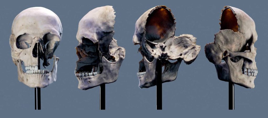 图片[1]1Li-Digital Art Education人物雕刻必看！！Zbrush角色面部解剖雕刻教程1Li-Digital Art Education1Li