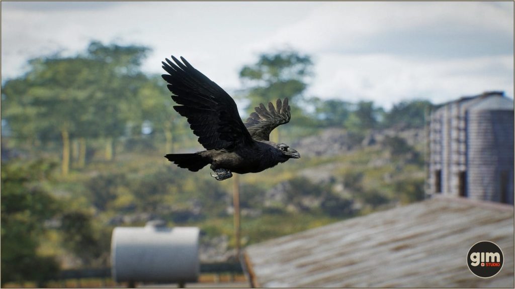 图片[3]1Li-Digital Art Education【UE资源】乌鸦角色资源包（骨骼+动画）-Animalia – Raven1Li-Digital Art Education1Li