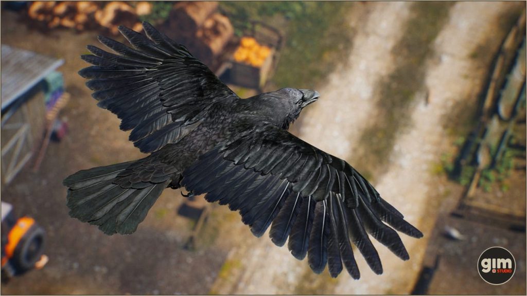 图片[4]1Li-Digital Art Education【UE资源】乌鸦角色资源包（骨骼+动画）-Animalia – Raven1Li-Digital Art Education1Li