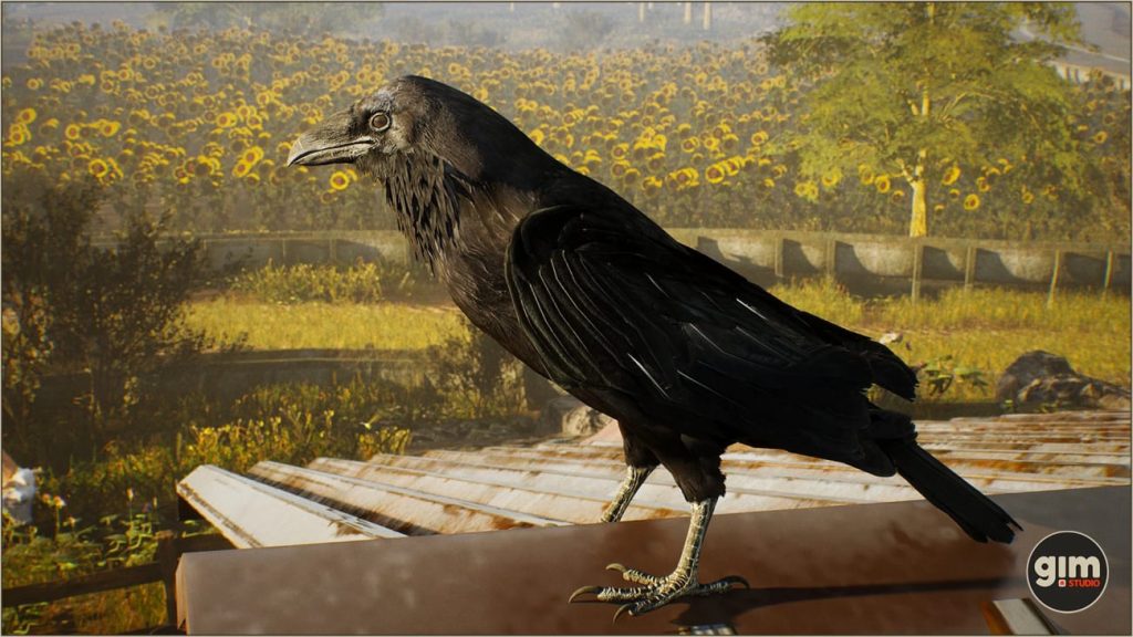 图片[5]1Li-Digital Art Education【UE资源】乌鸦角色资源包（骨骼+动画）-Animalia – Raven1Li-Digital Art Education1Li