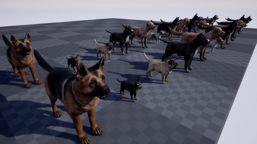 图片[3]1Li-Digital Art Education【UE资源】宠物狗资源合集-Dogs Big pack1Li-Digital Art Education1Li