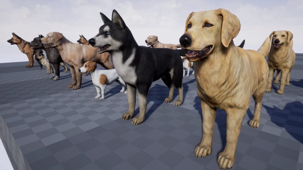 图片[2]1Li-Digital Art Education【UE资源】宠物狗资源合集-Dogs Big pack1Li-Digital Art Education1Li