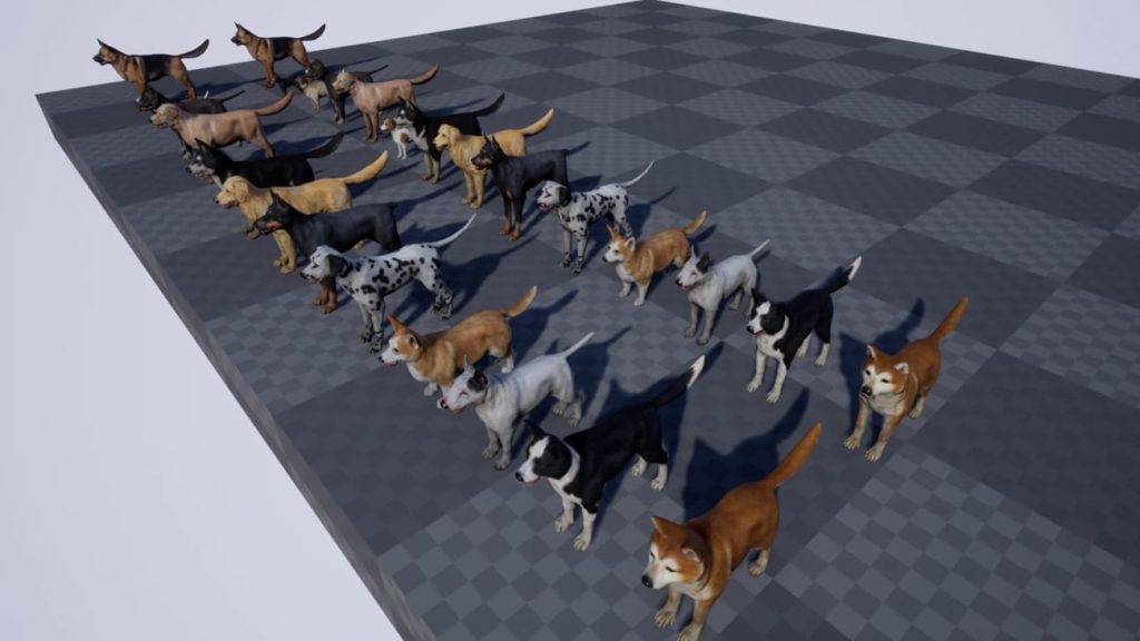 图片[5]1Li-Digital Art Education【UE资源】宠物狗资源合集-Dogs Big pack1Li-Digital Art Education1Li