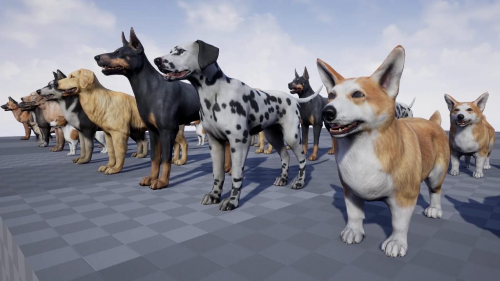 图片[6]1Li-Digital Art Education【UE资源】宠物狗资源合集-Dogs Big pack1Li-Digital Art Education1Li