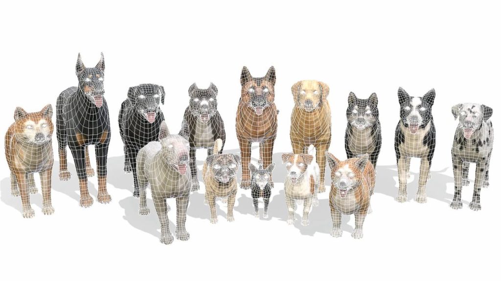 图片[1]1Li-Digital Art Education【UE资源】宠物狗资源合集-Dogs Big pack1Li-Digital Art Education1Li