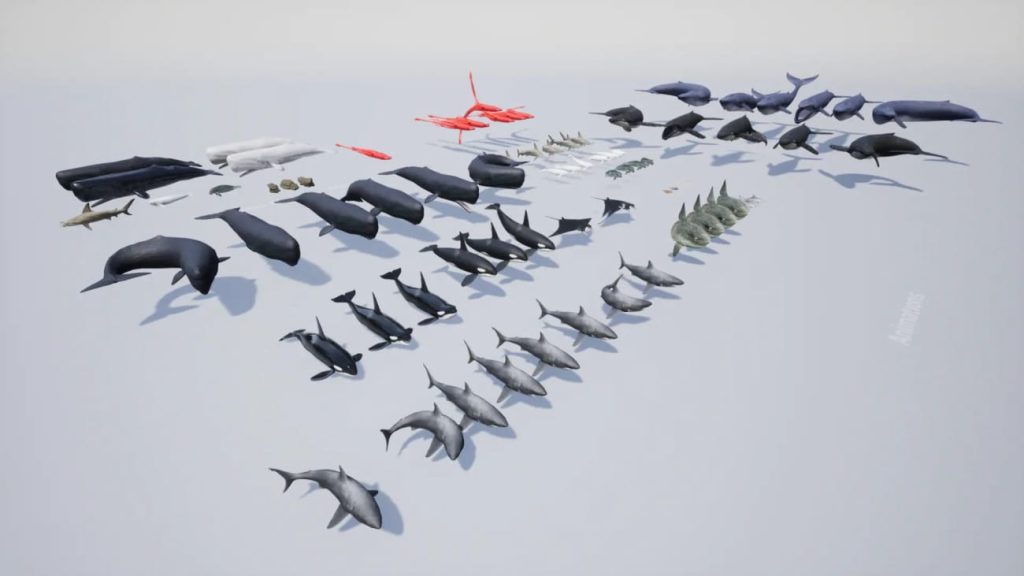 图片[2]1Li-Digital Art Education【UE资源】海洋动物超级包-Ocean Animals MEGA Pack1Li-Digital Art Education1Li