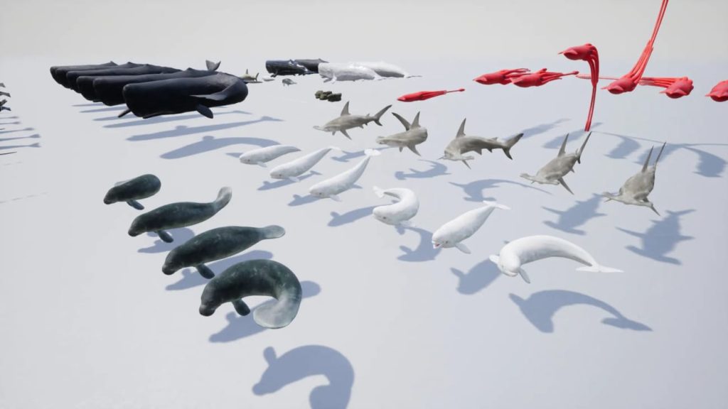 图片[3]1Li-Digital Art Education【UE资源】海洋动物超级包-Ocean Animals MEGA Pack1Li-Digital Art Education1Li