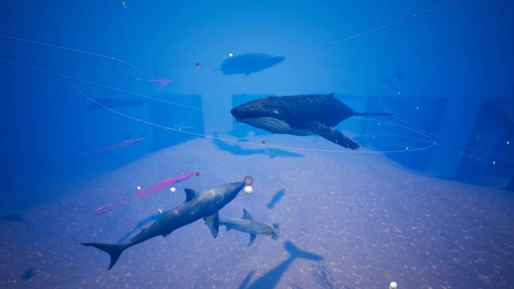 图片[4]1Li-Digital Art Education【UE资源】海洋动物超级包-Ocean Animals MEGA Pack1Li-Digital Art Education1Li