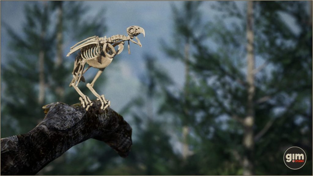 图片[2]1Li-Digital Art Education【UE资源】白头鹰和金雕（绑定+动画）-Animalia – Bald and Golden Eagle1Li-Digital Art Education1Li