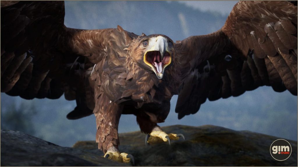 图片[5]1Li-Digital Art Education【UE资源】白头鹰和金雕（绑定+动画）-Animalia – Bald and Golden Eagle1Li-Digital Art Education1Li