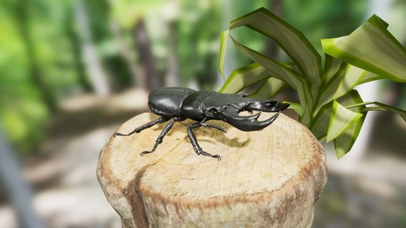 UE资源】昆虫合集包-Insect Pack1Li-Digital Art Education1Li