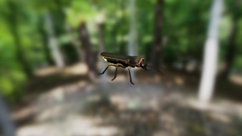 图片[2]1Li-Digital Art EducationUE资源】昆虫合集包-Insect Pack1Li-Digital Art Education1Li