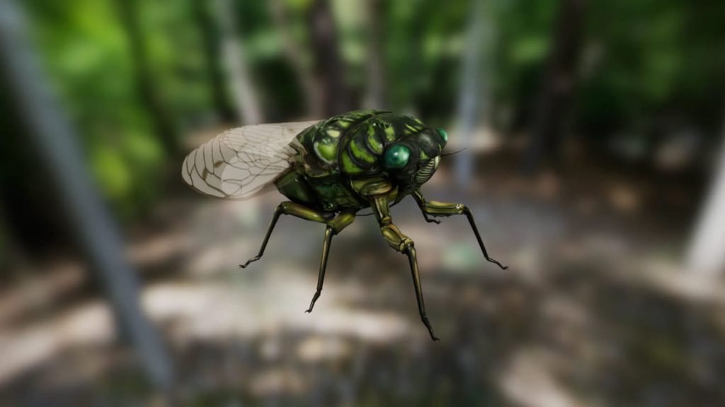 图片[1]1Li-Digital Art EducationUE资源】昆虫合集包-Insect Pack1Li-Digital Art Education1Li