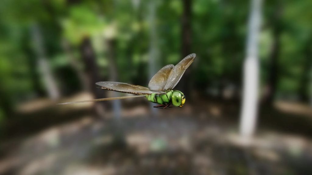 图片[3]1Li-Digital Art EducationUE资源】昆虫合集包-Insect Pack1Li-Digital Art Education1Li