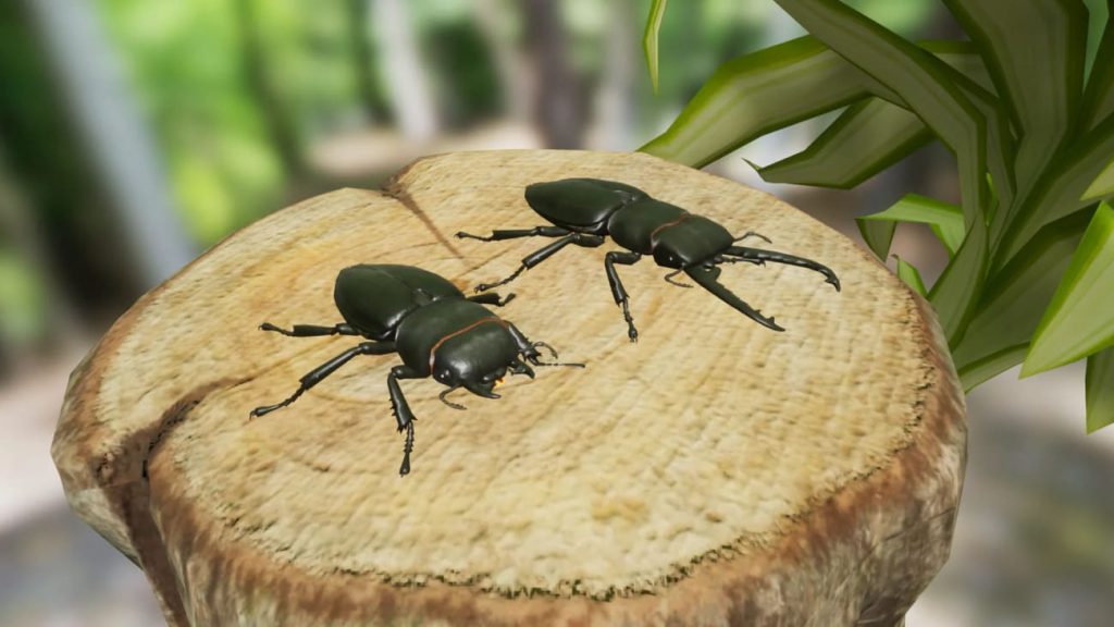 图片[4]1Li-Digital Art EducationUE资源】昆虫合集包-Insect Pack1Li-Digital Art Education1Li