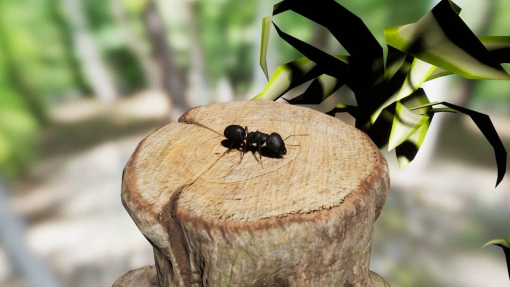 图片[8]1Li-Digital Art EducationUE资源】昆虫合集包-Insect Pack1Li-Digital Art Education1Li