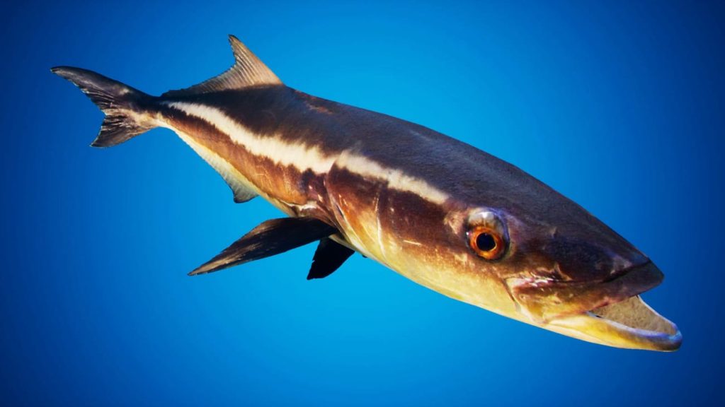 图片[3]1Li-Digital Art Education【UE资源】鱼群系统-Fish for Fish School System1Li-Digital Art Education1Li