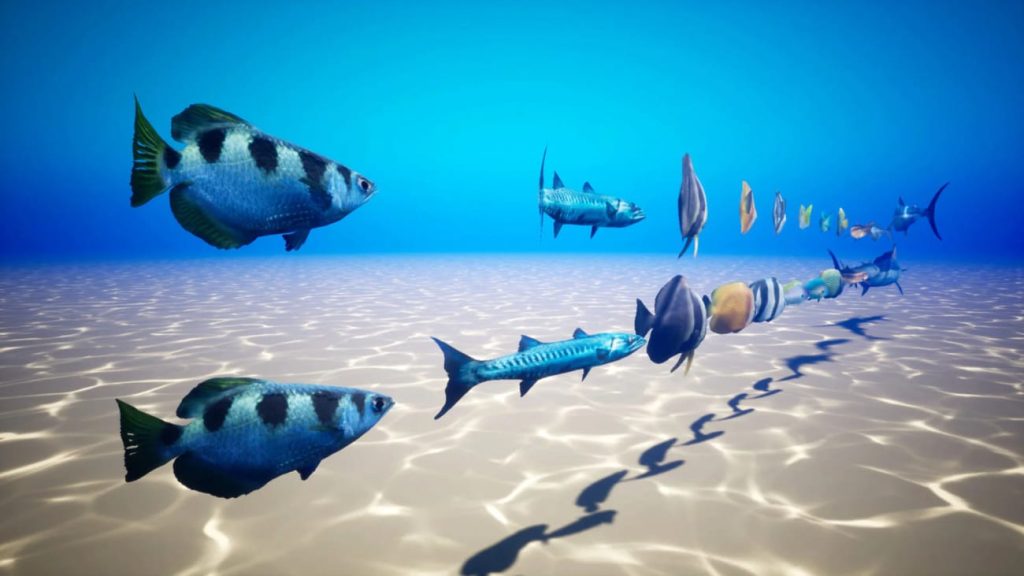 图片[4]1Li-Digital Art Education【UE资源】鱼群系统-Fish for Fish School System1Li-Digital Art Education1Li