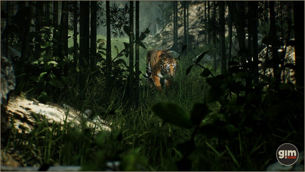 图片[2]1Li-Digital Art Education【UE资源】老虎资源包-Animalia – Tiger (male)1Li-Digital Art Education1Li