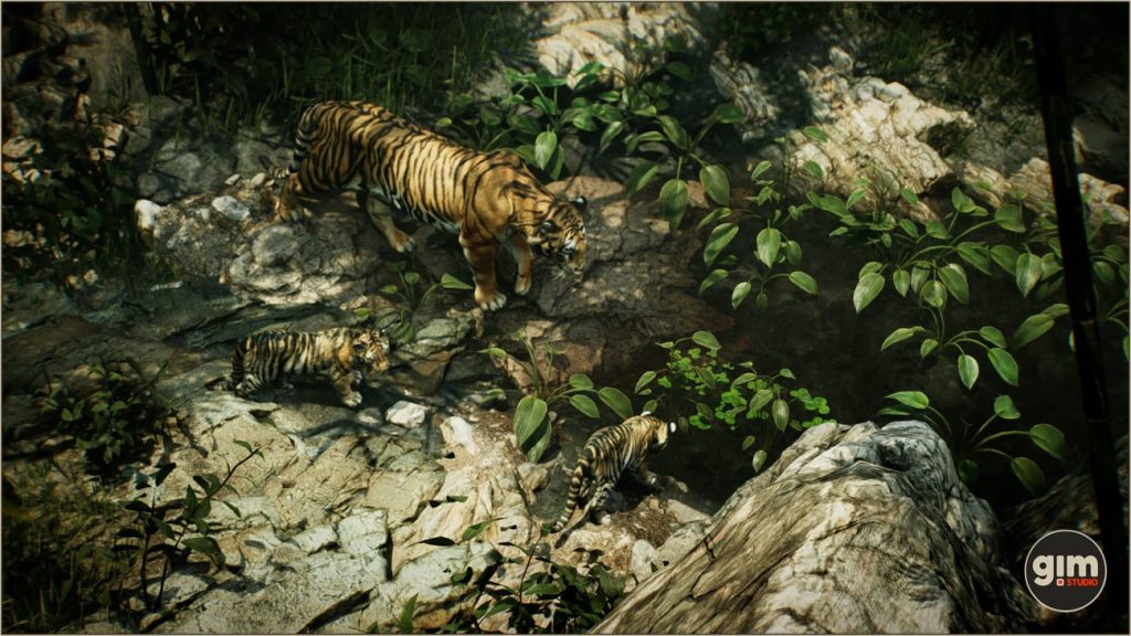 图片[4]1Li-Digital Art Education【UE资源】老虎资源包-Animalia – Tiger (male)1Li-Digital Art Education1Li