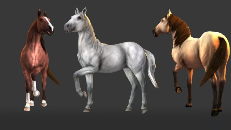 【UE资源】马动画集合包-Horse Animset1Li-Digital Art Education1Li