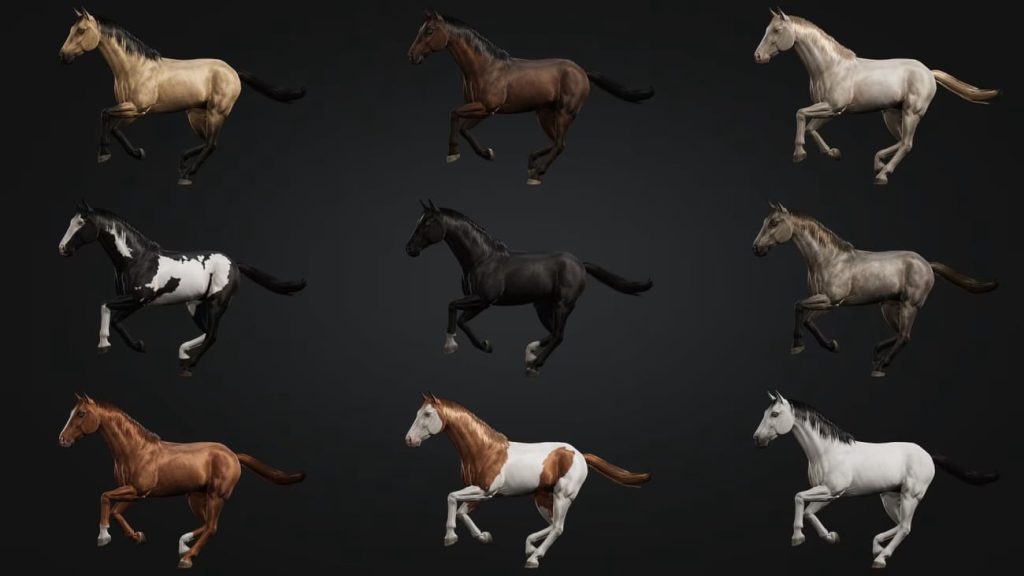 图片[4]1Li-Digital Art Education【UE资源】马群动画合集包-Horse Herd1Li-Digital Art Education1Li