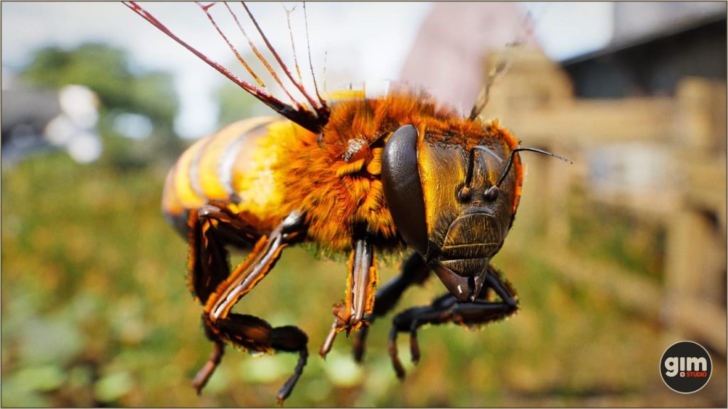 图片[1]1Li-Digital Art Education【UE资源】逼真的昆虫 蜜蜂-Animalia - Honeybee1Li-Digital Art Education1Li