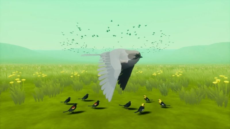 【UE资源】Niagara程式化鸟类-Beefy Blackbirds (Niagara Bird System)1Li-Digital Art Education1Li