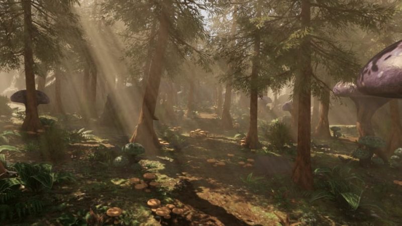 【UE资源】幻想森林环境-Fantasy Forest – Forest Environment1Li-Digital Art Education1Li