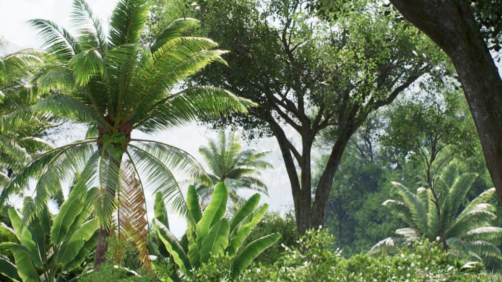 图片[8]1Li-Digital Art Education【UE资源】热带岛屿场景资源-Tropical Islands1Li-Digital Art Education1Li