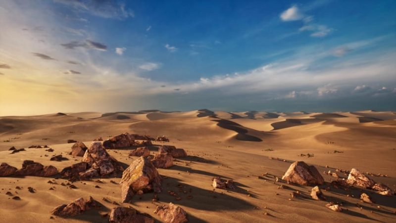 【UE资源】Brushify沙丘包-Brushify - Dunes Pack1Li-Digital Art Education1Li