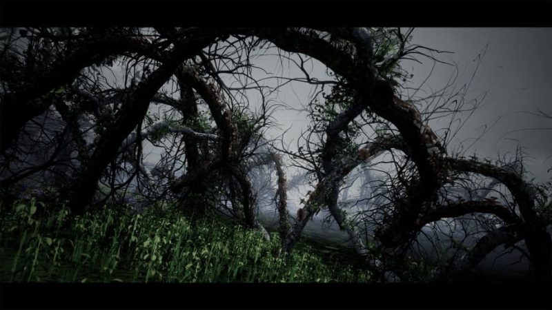 【UE资源】畸形森林环境-MalformedForest1Li-Digital Art Education1Li
