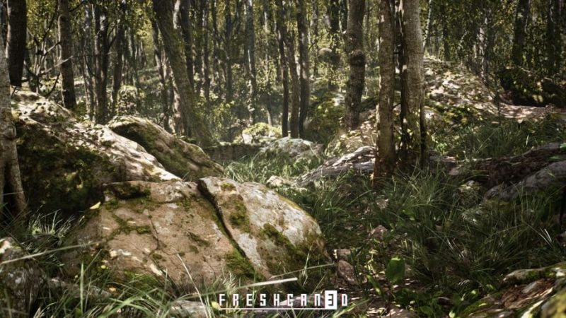 【UE资源】程序化橡树森林-Procedural Oak Forest1Li-Digital Art Education1Li