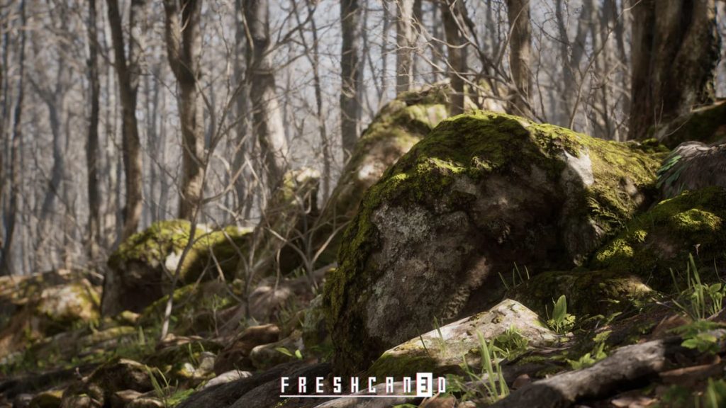 图片[5]1Li-Digital Art Education【UE资源】程序化橡树森林-Procedural Oak Forest1Li-Digital Art Education1Li