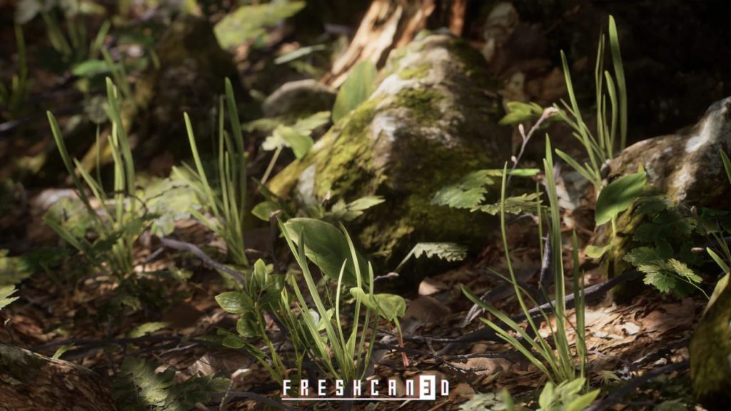 图片[1]1Li-Digital Art Education【UE资源】程序化橡树森林-Procedural Oak Forest1Li-Digital Art Education1Li