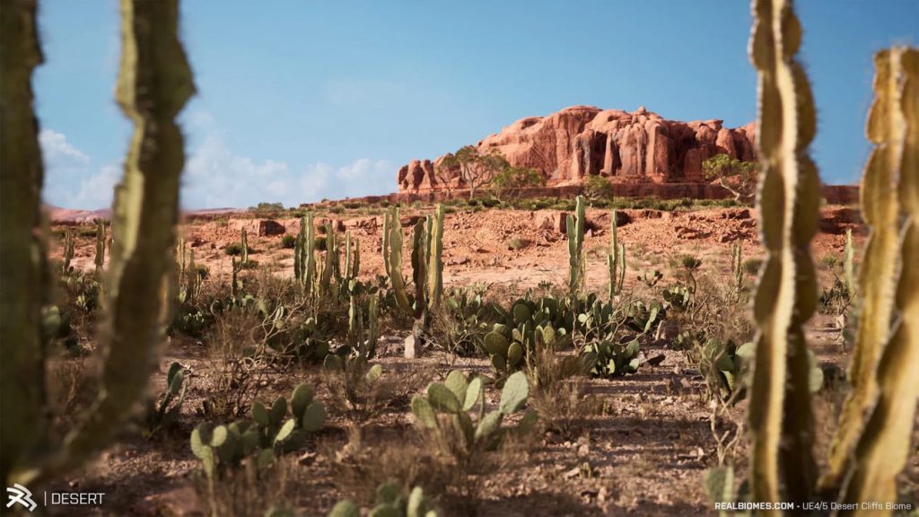 图片[4]1Li-Digital Art Education【UE资源】超写实的沙漠环境包-RealBiomes Desert Cliffs Biome - Monument Valley (Trees, Grass, Forest)1Li-Digital Art Education1Li