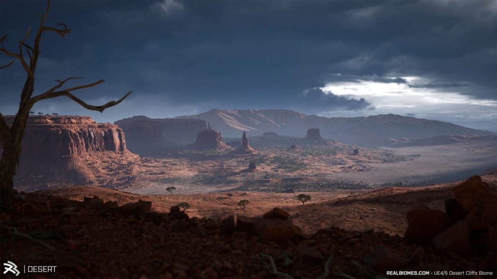 图片[6]1Li-Digital Art Education【UE资源】超写实的沙漠环境包-RealBiomes Desert Cliffs Biome - Monument Valley (Trees, Grass, Forest)1Li-Digital Art Education1Li