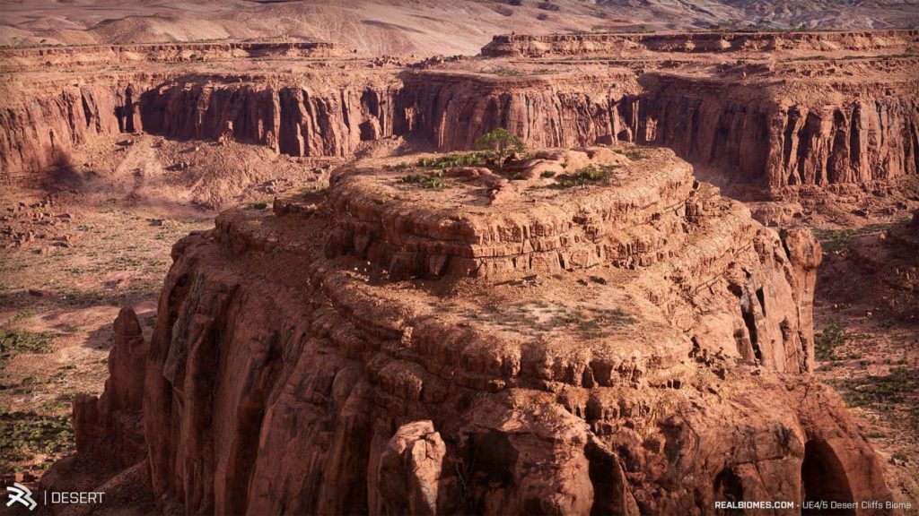 图片[8]1Li-Digital Art Education【UE资源】超写实的沙漠环境包-RealBiomes Desert Cliffs Biome - Monument Valley (Trees, Grass, Forest)1Li-Digital Art Education1Li