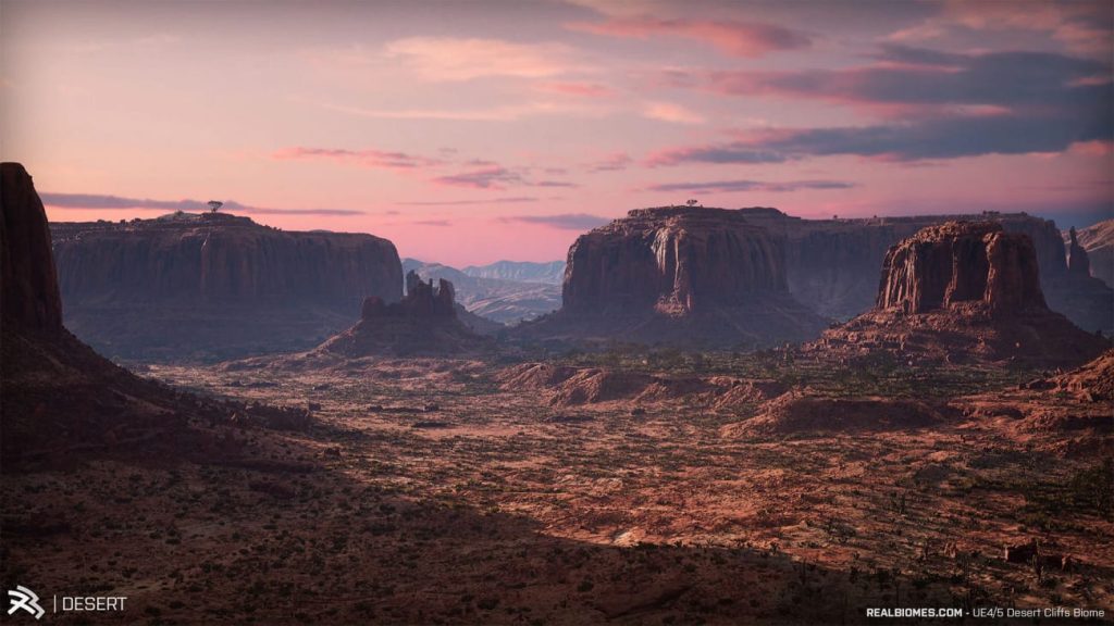 图片[3]1Li-Digital Art Education【UE资源】超写实的沙漠环境包-RealBiomes Desert Cliffs Biome - Monument Valley (Trees, Grass, Forest)1Li-Digital Art Education1Li