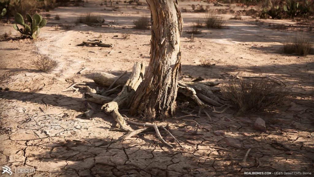 图片[9]1Li-Digital Art Education【UE资源】超写实的沙漠环境包-RealBiomes Desert Cliffs Biome - Monument Valley (Trees, Grass, Forest)1Li-Digital Art Education1Li