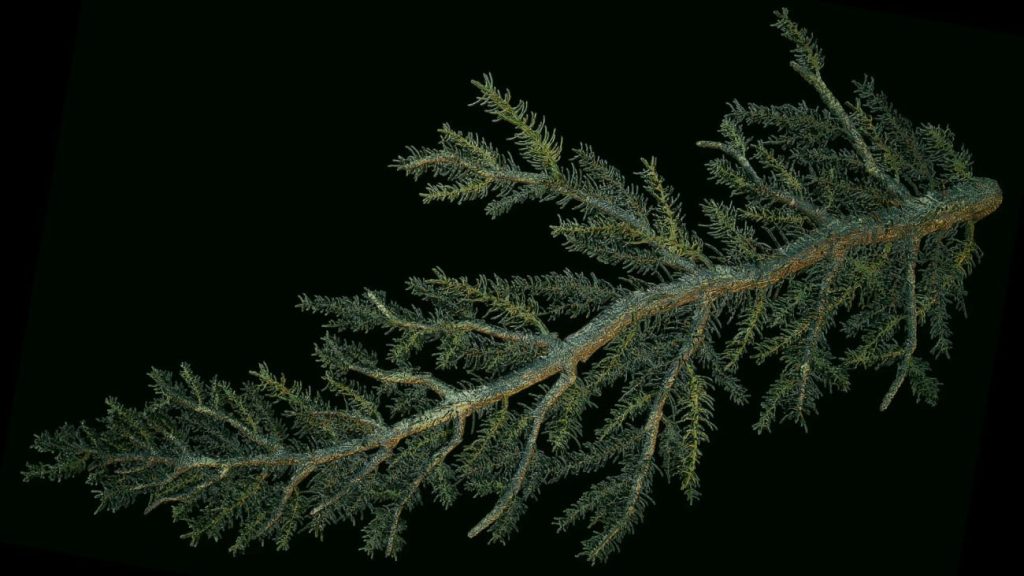 图片[5]1Li-Digital Art Education【UE资源】恐怖的森林环境- Deadly Forest - Modular Asset Pack1Li-Digital Art Education1Li