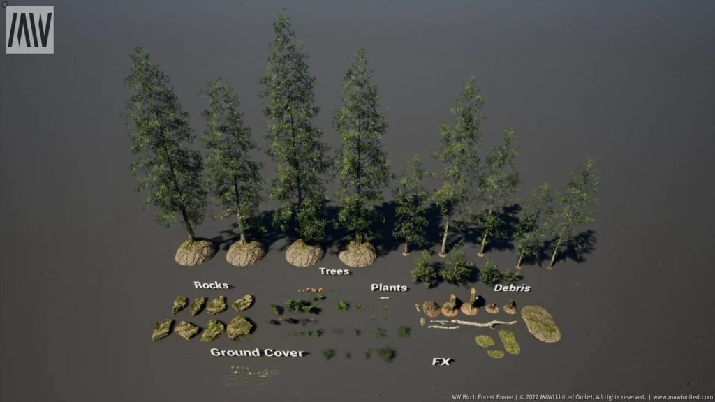 图片[1]1Li-Digital Art Education【UE资源】森林生物群落资源包-MW Paper Birch Tree Forest Biome1Li-Digital Art Education1Li