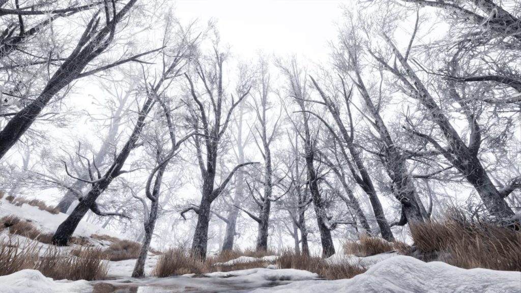 图片[7]1Li-Digital Art Education【UE资源】冬季森林-Winter Forest1Li-Digital Art Education1Li
