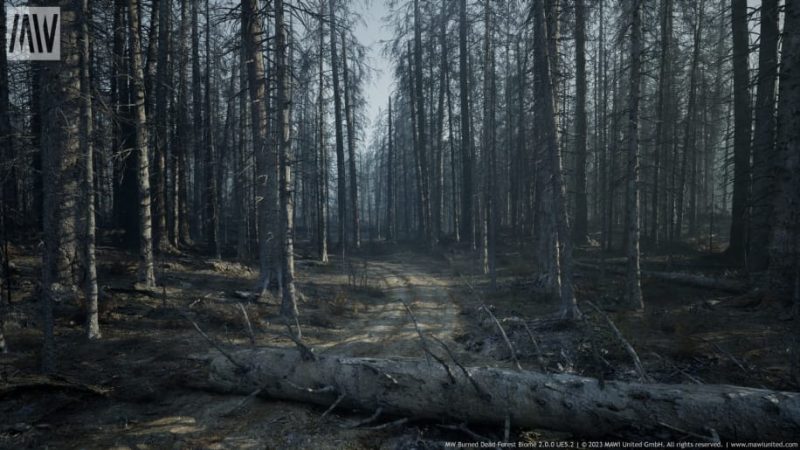 【UE资源】烧毁的枯树森林生物群落-MW Burned Dead Trees Forest Biome1Li-Digital Art Education1Li