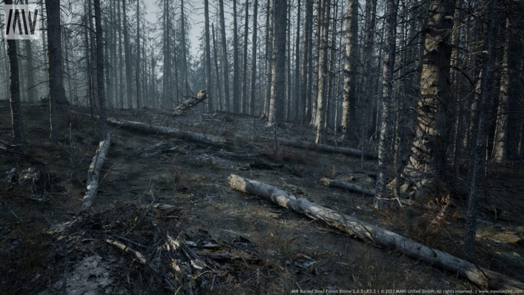 图片[5]1Li-Digital Art Education【UE资源】烧毁的枯树森林生物群落-MW Burned Dead Trees Forest Biome1Li-Digital Art Education1Li