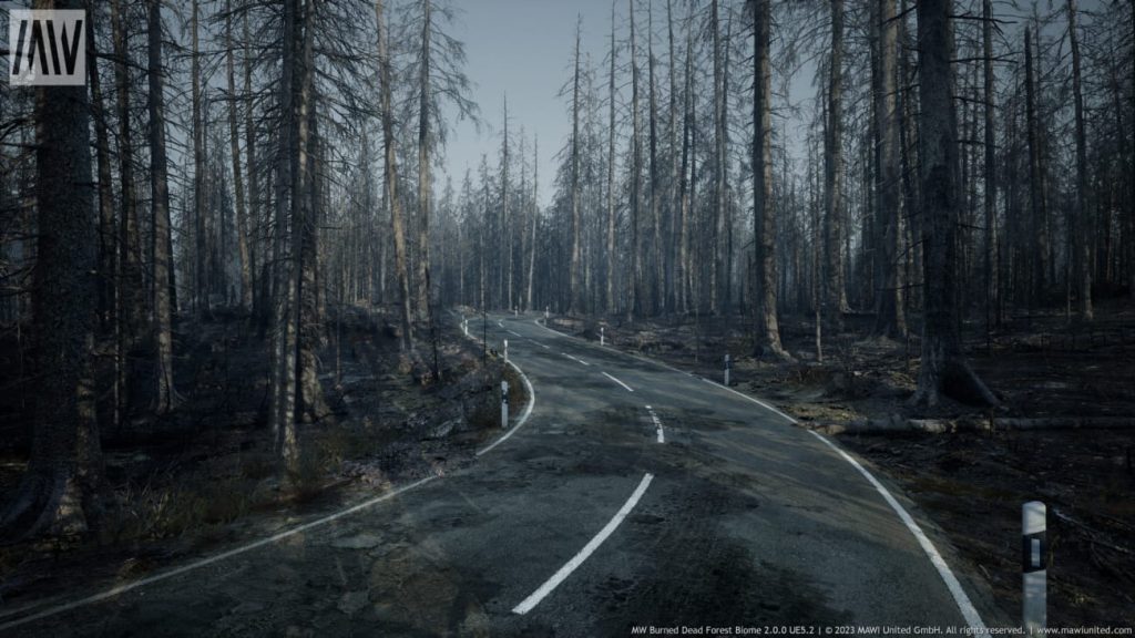 图片[6]1Li-Digital Art Education【UE资源】烧毁的枯树森林生物群落-MW Burned Dead Trees Forest Biome1Li-Digital Art Education1Li