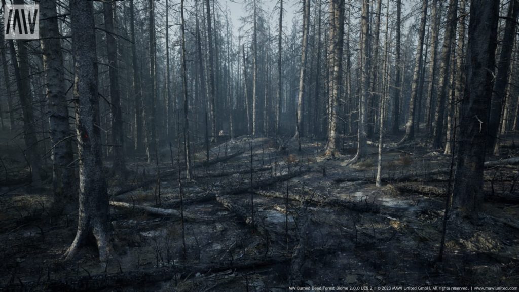图片[4]1Li-Digital Art Education【UE资源】烧毁的枯树森林生物群落-MW Burned Dead Trees Forest Biome1Li-Digital Art Education1Li